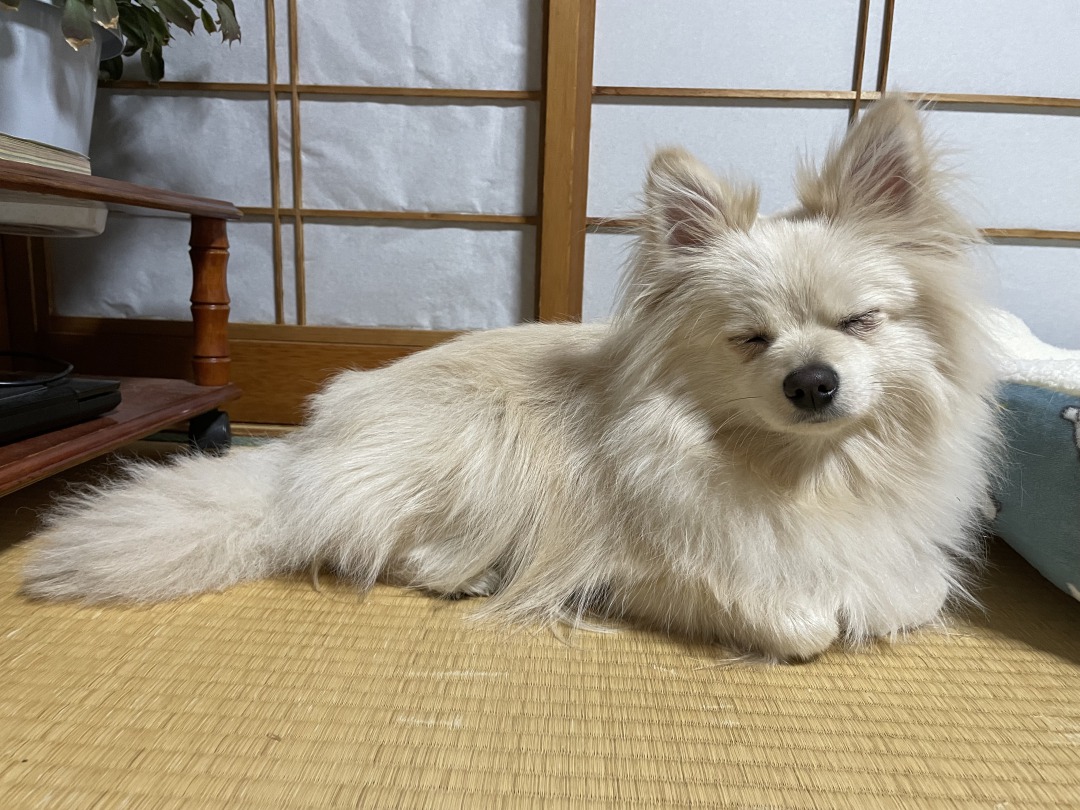 鳴子温泉♨