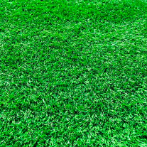 芝生工事 (人工芝生)