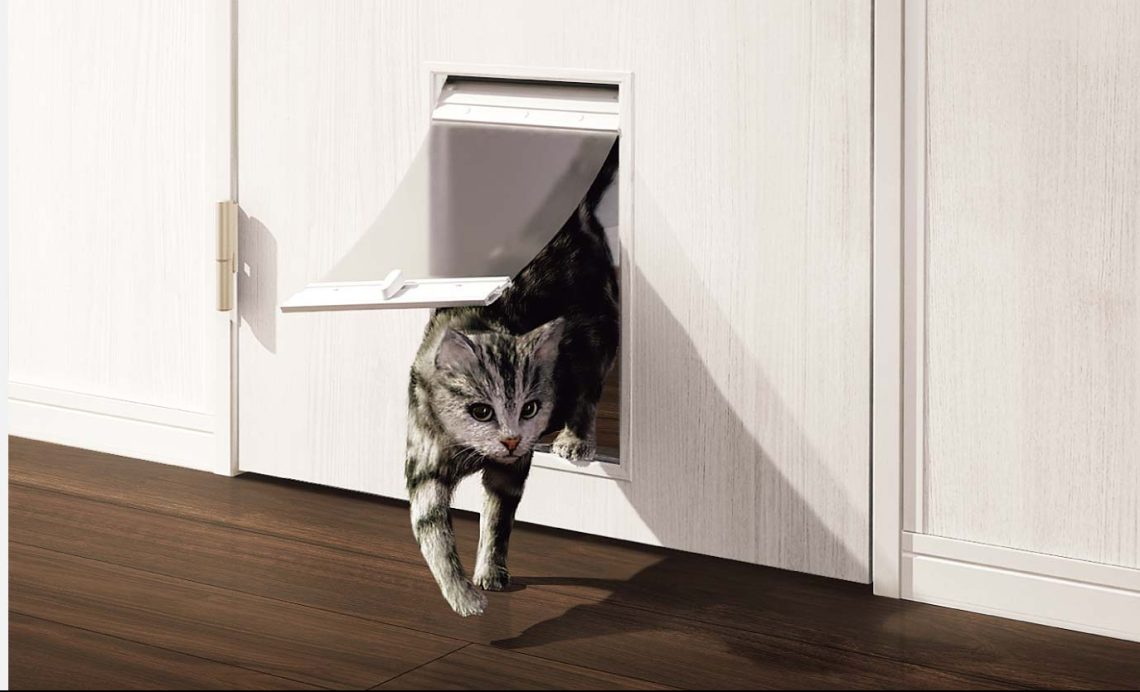 7つの大収納でスッキリ暮らす！猫ちゃんも快適な32坪のお家