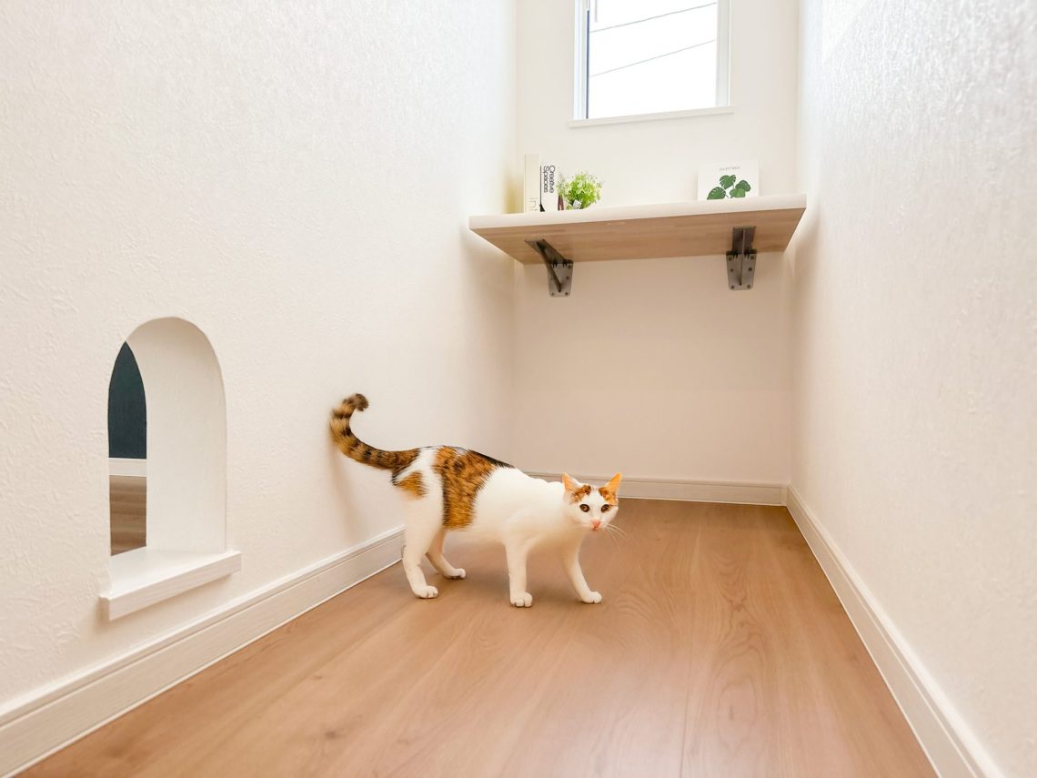 【完成見学会】人気規格住宅ルフラン×猫と暮らす家