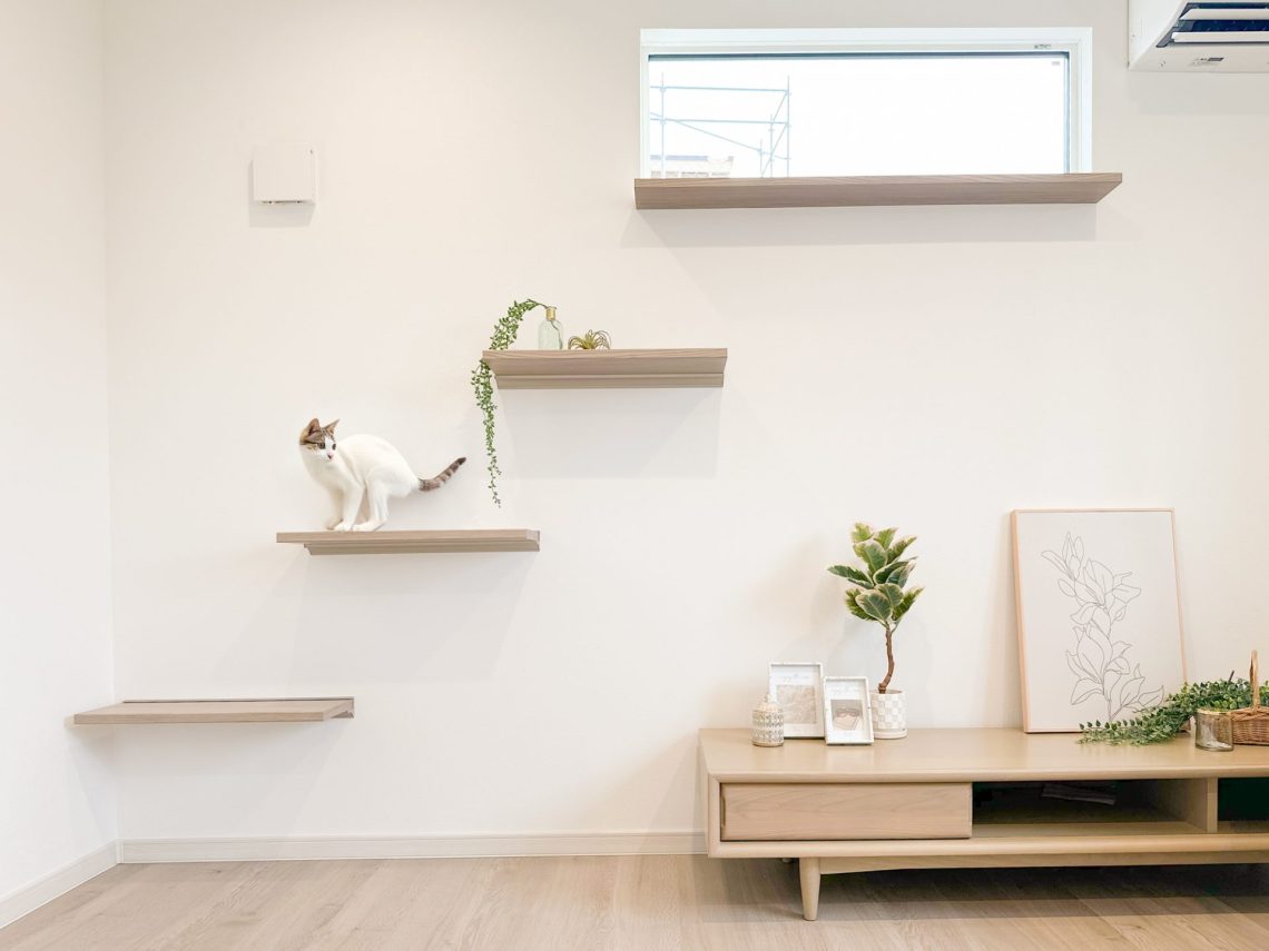 【完成見学会】人気規格住宅ルフラン×猫と暮らす家